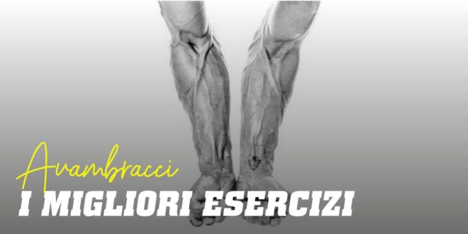 I Migliori Esercizi per gli Avambracci I Migliori Esercizi per gli Avambracci