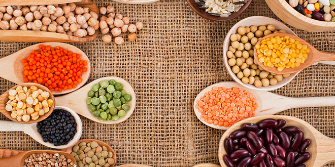 Alimenti di una dieta vegan Alimenti di una dieta vegan