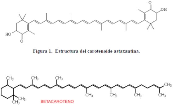 Struttura chimica dell'astaxantina Struttura chimica dell'astaxantina