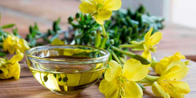 Olio di Enotera: conoscilo a fondo