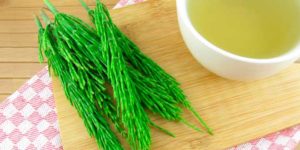 Benefici della coda di cavallo