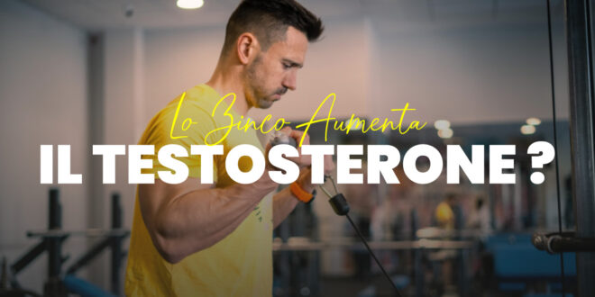 Lo Zinco Aumenta il testosterone? Lo Zinco Aumenta il testosterone?