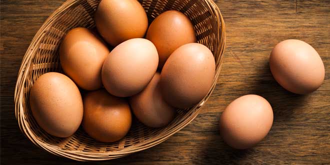 Proteine delle uova