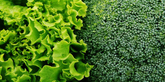 Vitamine negli ortaggi a foglia verde