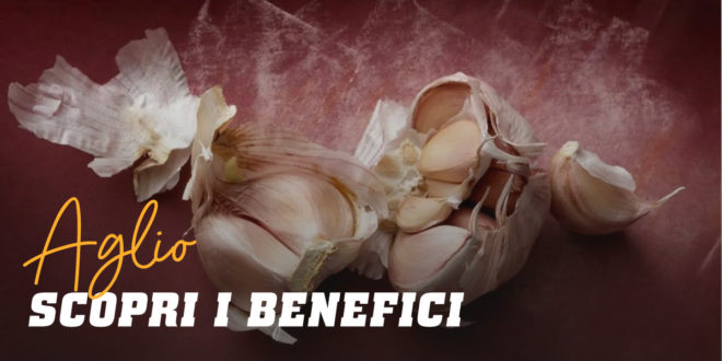 Aglio, Proprietà Curative e Benefici per la Salute Aglio, Proprietà Curative e Benefici per la Salute