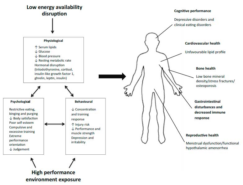 Conseguenze delle diete ipocaloriche