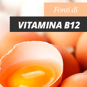 Fonti di vitamina B12