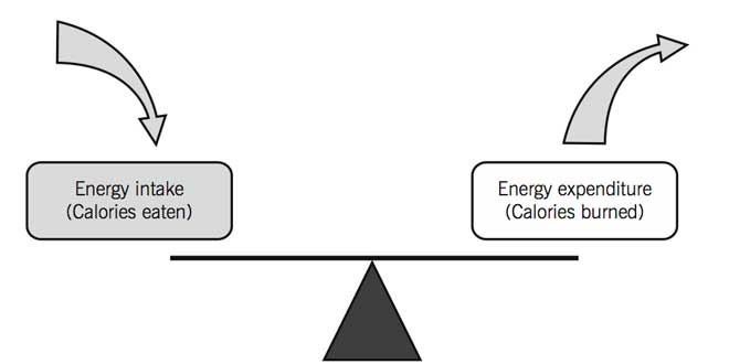 Disponibilità energetica