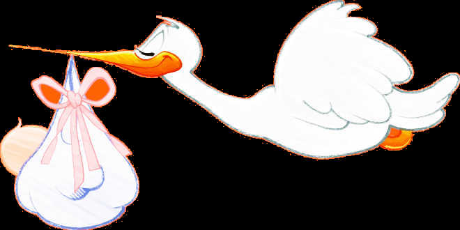 Nascita del bambino Nascita del bambino