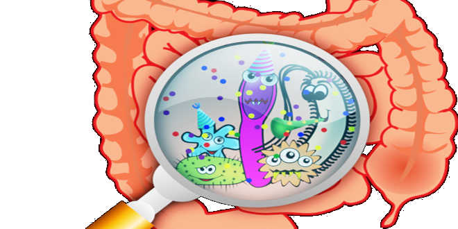 Mancanza di batteri prebiotici nell'intestino