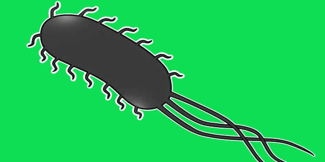 D-mannosio contro l'escherichia coli