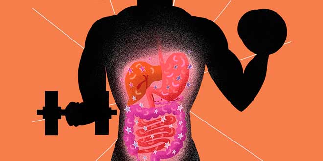 Come si può migliorare la flora intestinale?