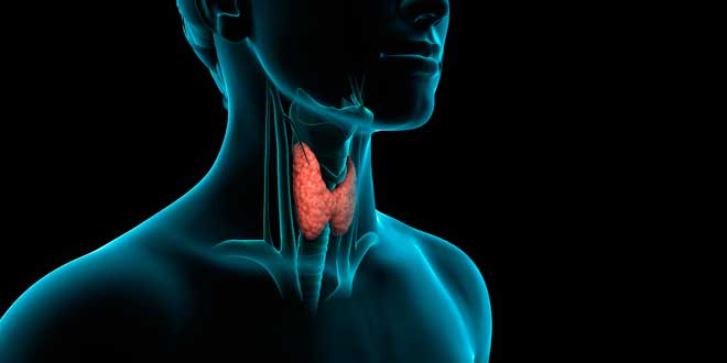 Ghiandola tiroide