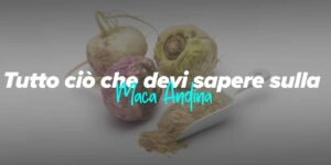 Maca Andina