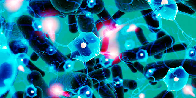 Problemi della flora intestinale Problemi della flora intestinale