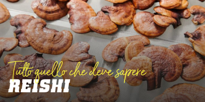 Reishi – L’Elisir di Lunga Vita Reishi – L’Elisir di Lunga Vita