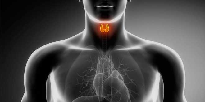 Infiammazione della tiroide