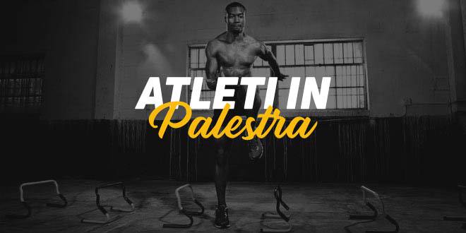 Guida HSN: Sportivi in Palestra. Parte 1