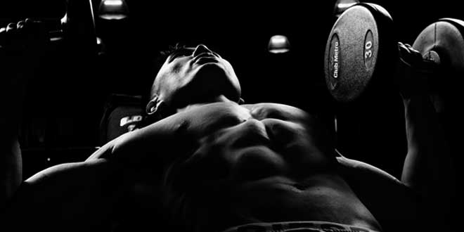 Benefici del programma full body Benefici del programma full body