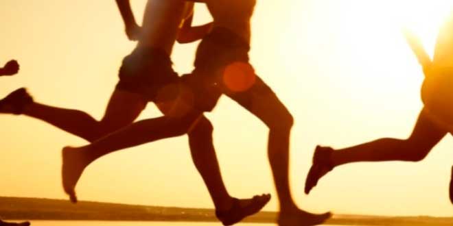 Vitamina C ed esercizio aerobico Vitamina C ed esercizio aerobico