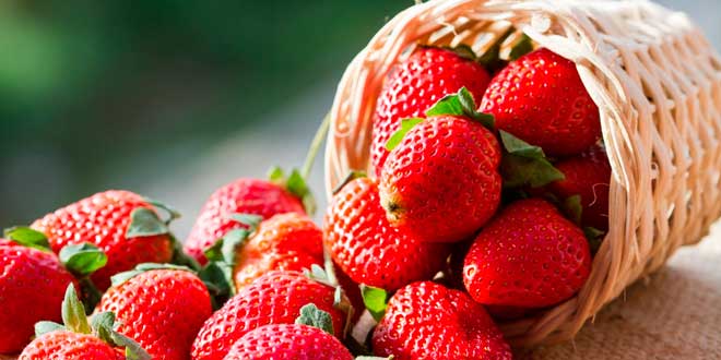 Fragole e vitamina C Fragole e vitamina C