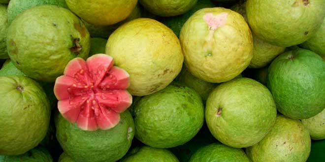 Guava e vitamina C