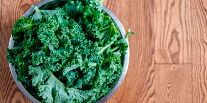 Kale e vitamina C Kale e vitamina C