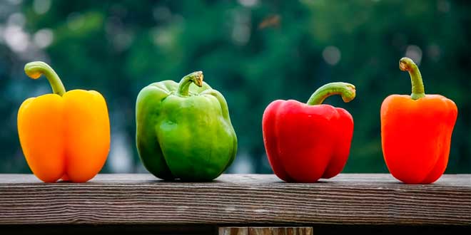 Peperoni e vitamina C Peperoni e vitamina C