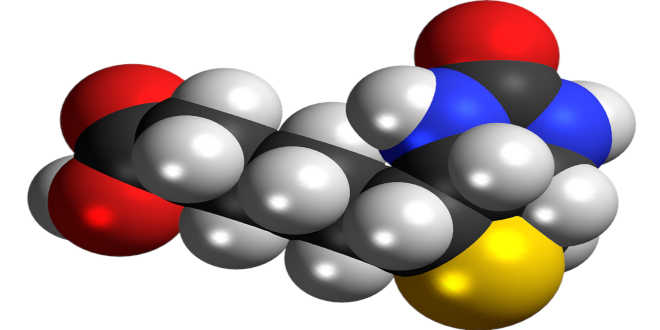 Chimica della biotina