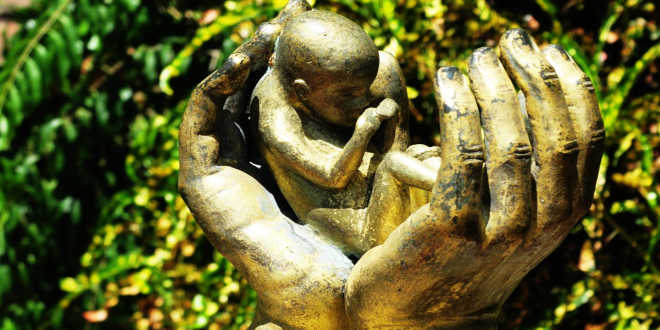 Biotina e problemi nello sviluppo del feto