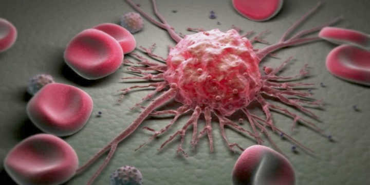 Shiitake e azione anticancerogena