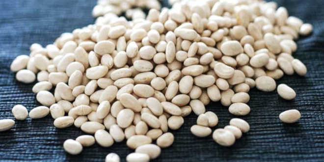 Fagiolo Bianco – Cos’è, Proprietà e Benefici