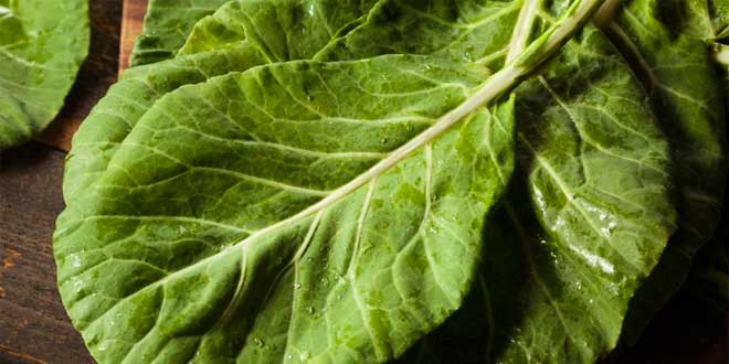 Verdure a foglia verde Verdure a foglia verde