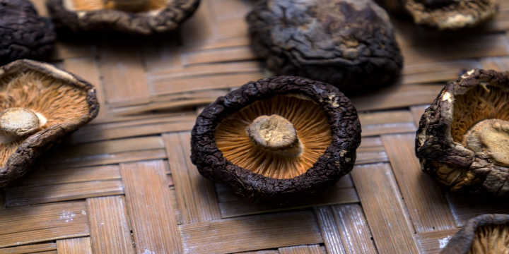Ingrediente fungo shiitake