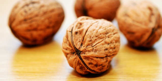 Noci fonti di vitamina e Noci fonti di vitamina e