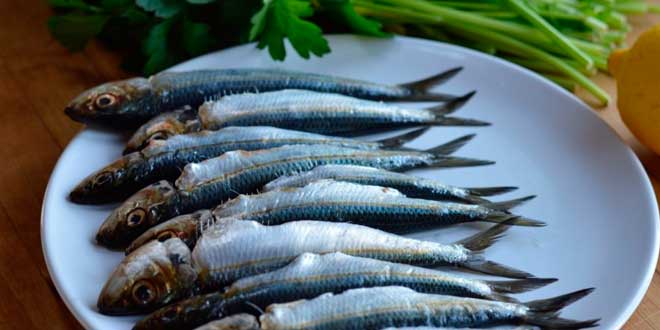 Calcio da pesce azzurro Calcio da pesce azzurro