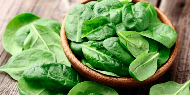 Spinaci e ossalato Spinaci e ossalato