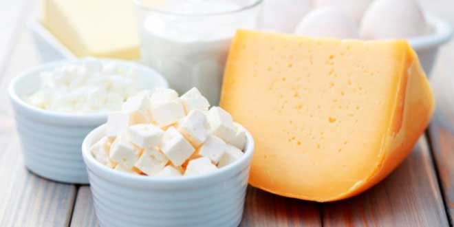 Fonti alimentari di probiotici