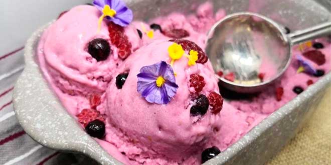 Gelato vegano ai frutti rossi