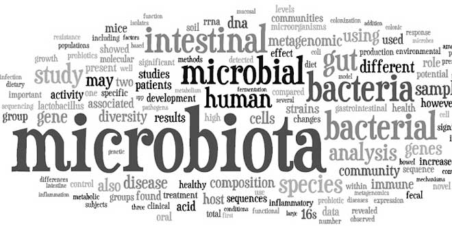 Importanza del microbiota