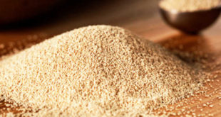 Proprietà, storia e usi del lievito di birra