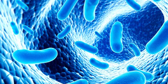 Effetti dei probiotici sulla salute