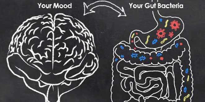 Relazione tra stato d'animo e microbiota intestinale