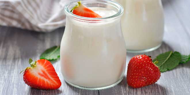 Alimenti ricchi in probiotici