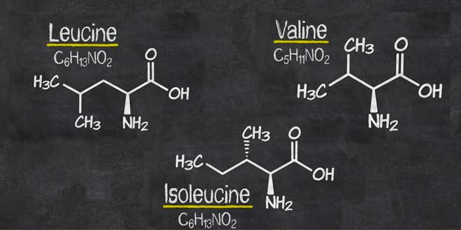 Strutture chimiche dei BCAAs