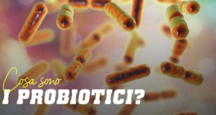 Cosa sono i probiotici?