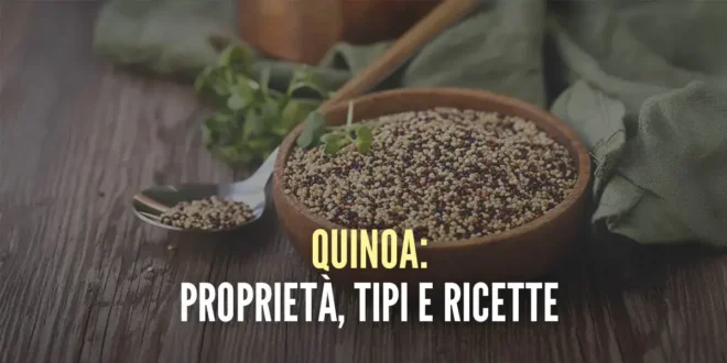 Quinoa, proprietà e ricette del superfood