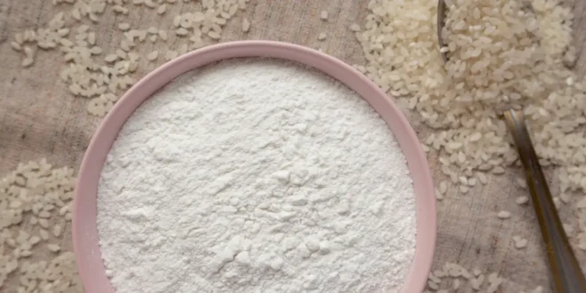 Proprietà e usi della proteina di riso Proprietà e usi della proteina di riso