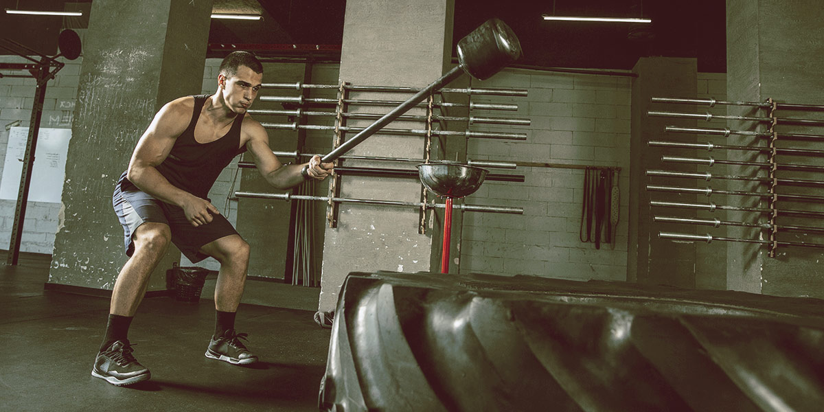 FITNESS-Gym FITNESS-Gym