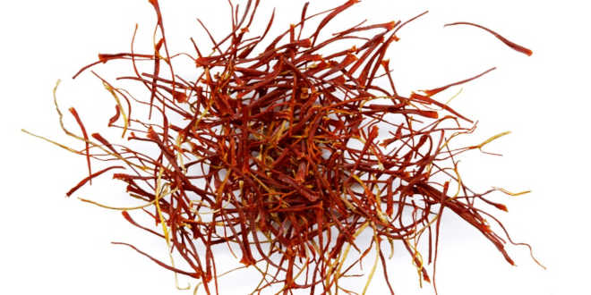 Zafferano o crocus sativus Zafferano o crocus sativus